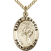 Gold Filled 3/4in Antiqued St Francis Medal & 18in Chain