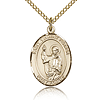 Gold Filled 3/4in St Vincent Ferrer Medal & 18in Chain