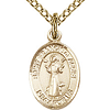 Gold Filled 1/2in St Francis Charm & 18in Chain