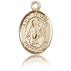 14kt Yellow Gold 1/2in St Patrick Charm