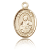 14kt Yellow Gold 1/2in St Pius X Charm