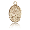 14kt Yellow Gold 1/2in St Januarius Charm