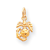 14kt Yellow Gold 3/8in U.S. Marine Corps Charm