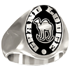 Artisan Shriner Camel Ring Siladium
