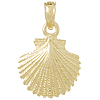 14k Yellow Gold Textured Scallop Shell Pendant 1/2in