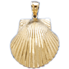 14kt Yellow Gold 1 1/8in Scallop Shell Pendant