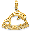 14kt Yellow Gold Hawaii Dolphin Pendant 3/4in