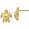 14kt Yellow Gold 1/2in Sea Turtle Stud Earrings