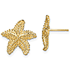 14k Yellow Gold Beaded Starfish Earrings 15mm