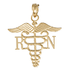 14k Yellow Gold 3/4in RN Nurse Caduceus Pendant