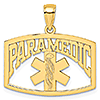 14k Yellow Gold Paramedic Caduceus Pendant