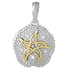 Sterling Silver 5/8in Sand Dollar Pendant with 14kt Gold Star
