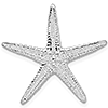 Sterling Silver 1in Starfish Pendant with Hidden Bail