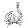 Sterling Silver 1in Stone Crab Pendant 