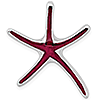 Sterling Silver 1 1/8in Starfish Pendant with Enamel