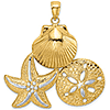 14kt Two-Tone Gold 1 1/2in Scallop Starfish Sand Dollar Pendant