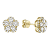 14k Yellow Gold .38 ct tw Diamond Floral Cluster Halo Earrings