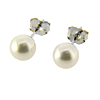 14kt White Gold Pearl Earrings