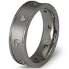 Titanium 8mm Brushed Ring with CZs and Raised Edges