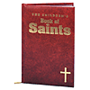The Children's Book of Saints Burgundy Cover