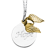 Sterling Silver 14kt Gold 18in Hope Necklace
