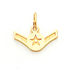 5/16in US Air Force Airman Pendant - Yellow Gold