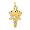 10k Yellow Gold Nurse Cap Symbol Pendant 1in
