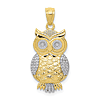 10k Yellow Gold and Rhodium Owl Pendant with Textured Finish 1in