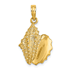 10k Yellow Gold Conch Shell Pendant 5/8in