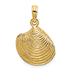 10k Yellow Gold Textured Clam Shell Pendant 5/8in