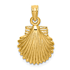 10k Yellow Gold Scallop Shell Charm 1/2in