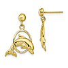 10k Yellow Gold Textured Dolphin Jumping Through Hoop Dangle Earrings
