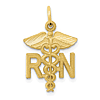 10k Yellow Gold Registered Nurse Charm 3/4in