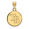 14k Yellow Gold 3/8in Round Tampa Bay Rays Pendant