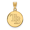 14k Yellow Gold 5/8in Round Tampa Bay Rays Pendant