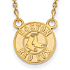 14kt Yellow Gold 1/2in Boston Red Sox Logo Pendant on 18in Chain