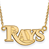 14k Yellow Gold 3/8in Tampa Bay Rays Pendant on 18in Chain