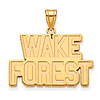 Wake Forest University Logo Pendant 3/4in 14k Yellow Gold