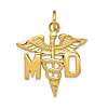 14k Yellow Gold MD Caduceus Charm