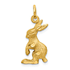 14k Yellow Gold Jack Rabbit Pendant 5/8in