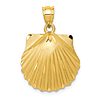 14k Yellow Gold Seashell Pendant with Polished Finish 3/4in