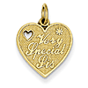 14kt Yellow Gold Very Special Sister Charm