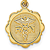 14kt Yellow Gold 1/2in Registered Nurse Disc Charm