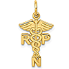 14kt Yellow Gold 3/4in Registered Nurse Practitioner  Charm