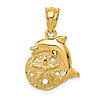 14k Yellow Gold Dolphin and Sand Dollar Charm