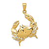 14k Yellow Gold Stone Crab Pendant with Extended Claw 1in