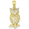 14kt Two-tone Gold 3/4in Owl Pendant
