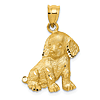14k Yellow Gold Sitting Puppy Pendant 3/4in