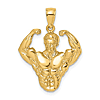 14k Yellow Gold 3-D Flexing Bodybuilder Torso Pendant