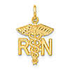 14kt Yellow Gold 3/4in Registered Nurse Charm